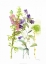 Picture of WATERCOLOR FLORAL STUDY I