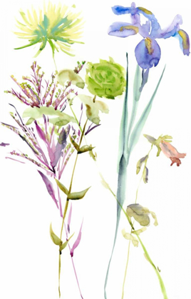 Picture of WATERCOLOR FLORAL STUDY II