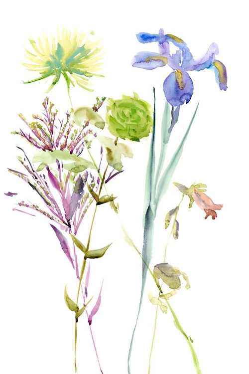 Picture of WATERCOLOR FLORAL STUDY II