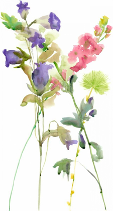 Picture of WATERCOLOR FLORAL STUDY IV