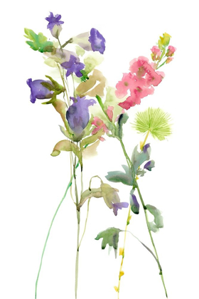 Picture of WATERCOLOR FLORAL STUDY IV