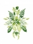 Picture of VERDANT VIGNETTE IV