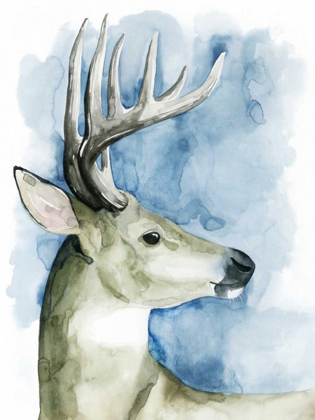 Picture of WANDERING STAG II