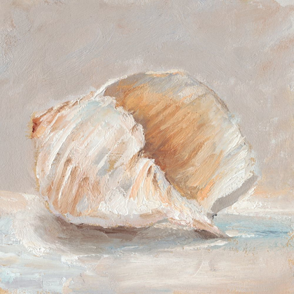 Picture of IMPRESSIONIST SHELL STUDY IV