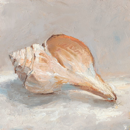 Picture of IMPRESSIONIST SHELL STUDY III