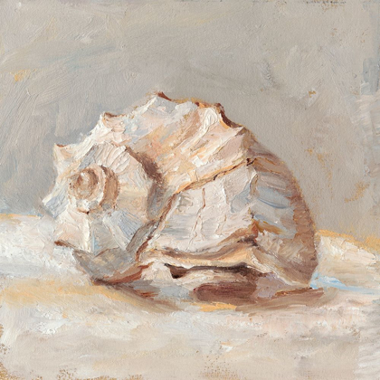 Picture of IMPRESSIONIST SHELL STUDY II