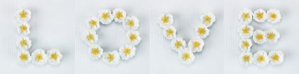 Picture of WORD LOVE WRITTEN IN WHITE ROSES, FTBR-1916
