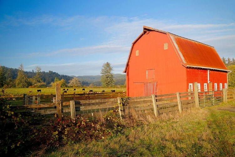 Picture of RED BARN WITH COWS