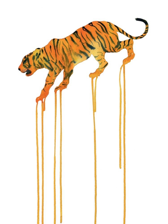 Picture of TIGER