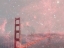Picture of STARDUST COVERING SAN FRANCISCO