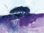 Picture of LAVENDER HILL