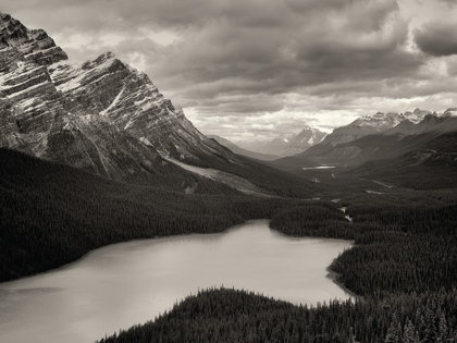 Picture of PEYTO VIEW