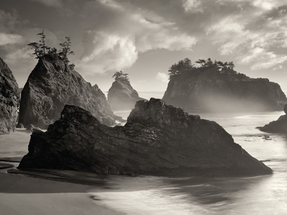 Picture of SEASTACK BEACH