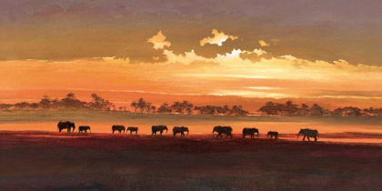 Picture of WADING ELEPHANTS