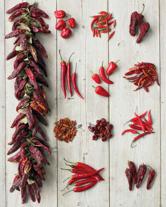 Picture of PICANTE