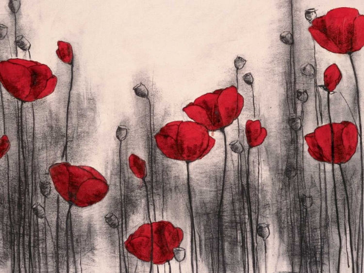 Picture of RED POPPIES