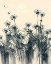 Picture of WHITE FLOWERS