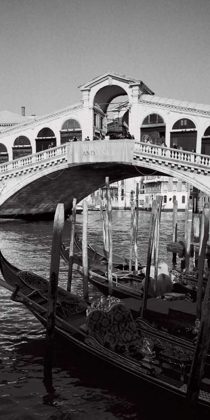 Picture of RIALTO BRIDGE, VENICE