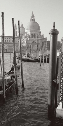 Picture of SANTA MARIA DELLA SALUTE, VENICE