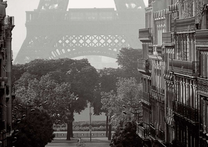 Picture of EIFFEL TOWER, PARIS