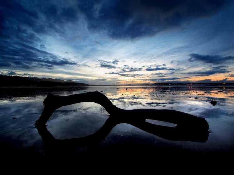 Picture of BEACH REFLECTION