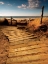 Picture of WEST WITTERING