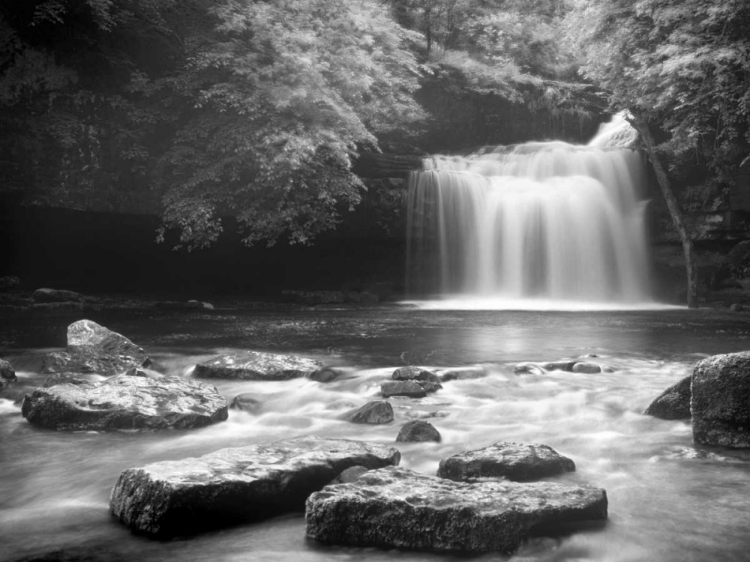 Picture of WEST BURTON FALLS, YORKSHIRE