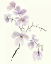 Picture of GENTLE BREEZE I