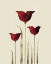 Picture of TULIPS III