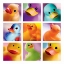 Picture of DUCK FAMILY PORTRAITS