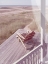 Picture of HAMPTONS II