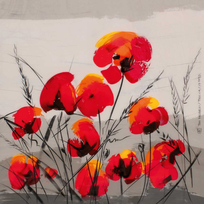 Picture of MULTIPLE POPPIES