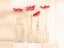 Picture of ANEMONES IN BOTTLES