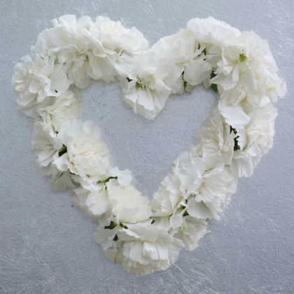 Picture of CARNATION HEART