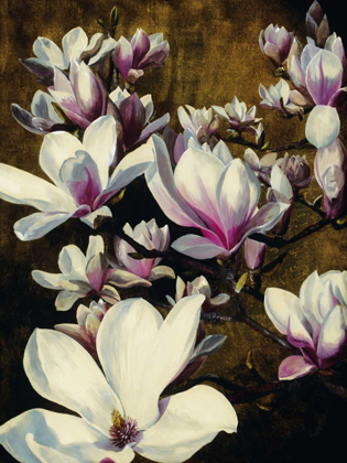 Picture of MAGNOLIA SILK