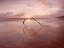 Picture of LOVE ON THE HORIZON