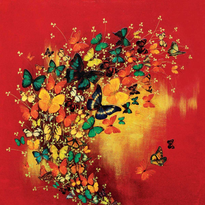 Picture of BUTTERFLIES ON RED
