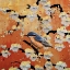 Picture of NUTHATCH