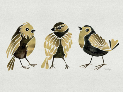 Picture of FINCHES