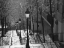 Picture of MONTMARTRE, PARIS