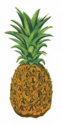 Picture of PINEAPPLE