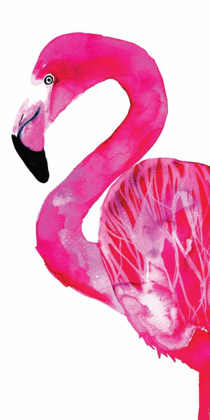 Picture of FLAMINGO