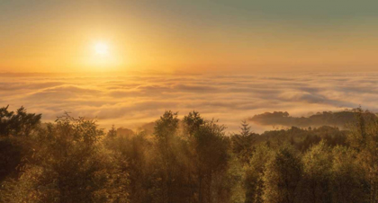 Picture of MIST OVER THE RIVER EXE-DEVON-ENGLAND