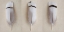 Picture of EGYPTIAN GOOSE FEATHER TRIPTYCH