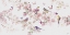 Picture of BIRDS AND BLOSSOM