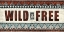 Picture of WILD AND FREE