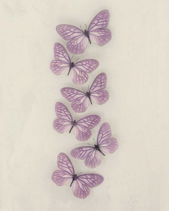 Picture of LILAC BUTTERFLIES