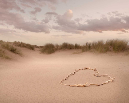 Picture of LOVE IN THE DUNES