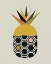 Picture of PINEAPPLE