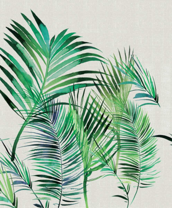 Picture of PALM LEAVES